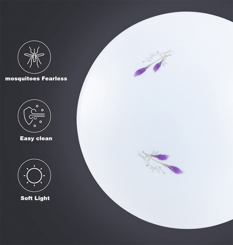 Solar Surface Mounted Ceiling Light